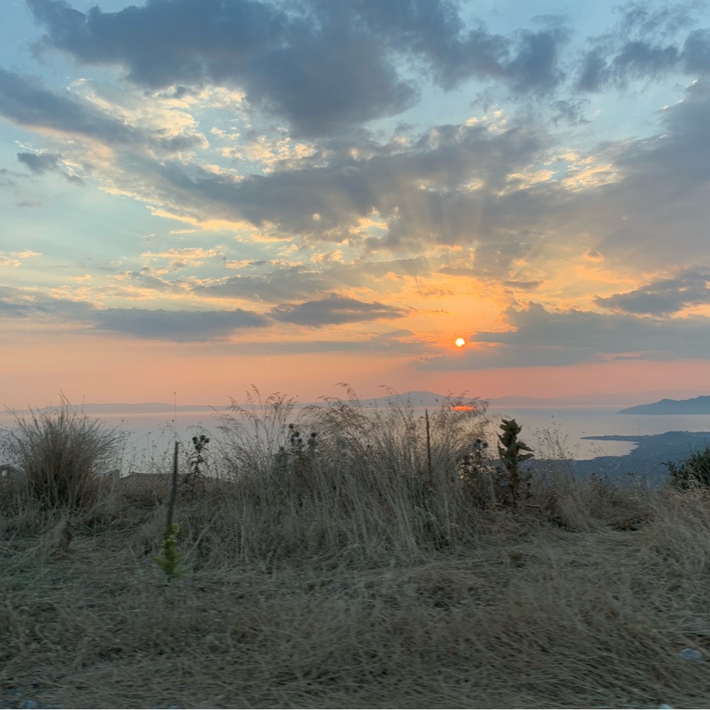 ⭐️ Meet Your Posher, Antonia ⭐️ - Picture 2 of 16